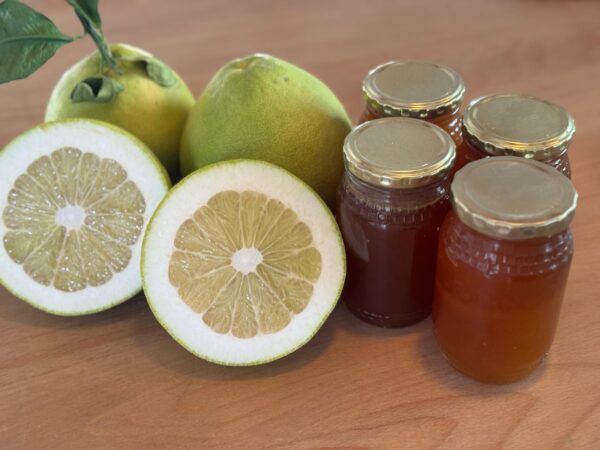 Pomelo - Image 2