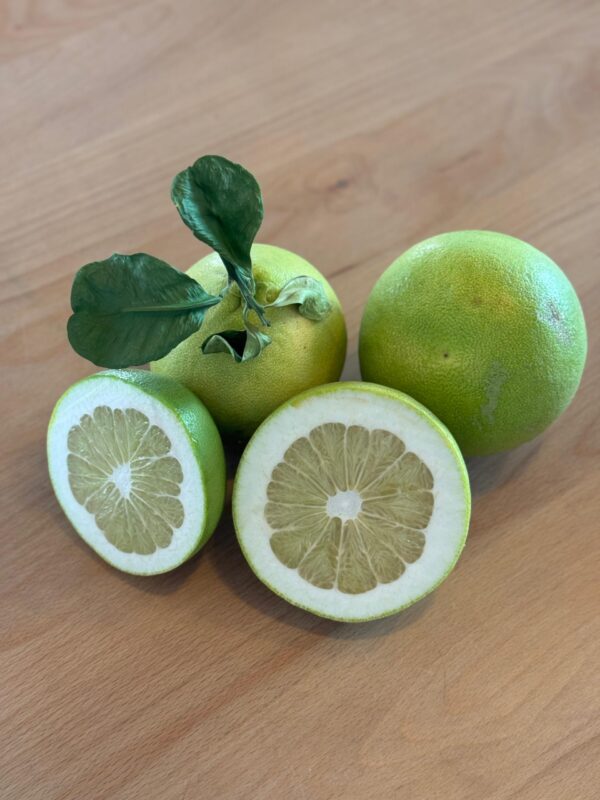 Pomelo