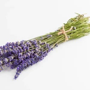 Lavender bunch